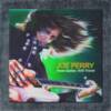 Joe Perry Back Patch, Joe Perry Have Guitar, Will Travel Album Big Back Patch