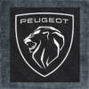Peugeot Back Patch, Peugeot 2021 Logo Big Back Patch