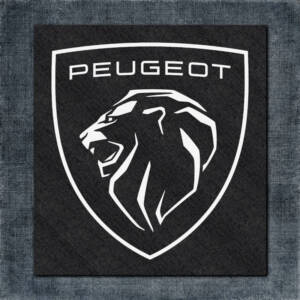 Peugeot Back Patch, Peugeot 2021 Logo Big Back Patch