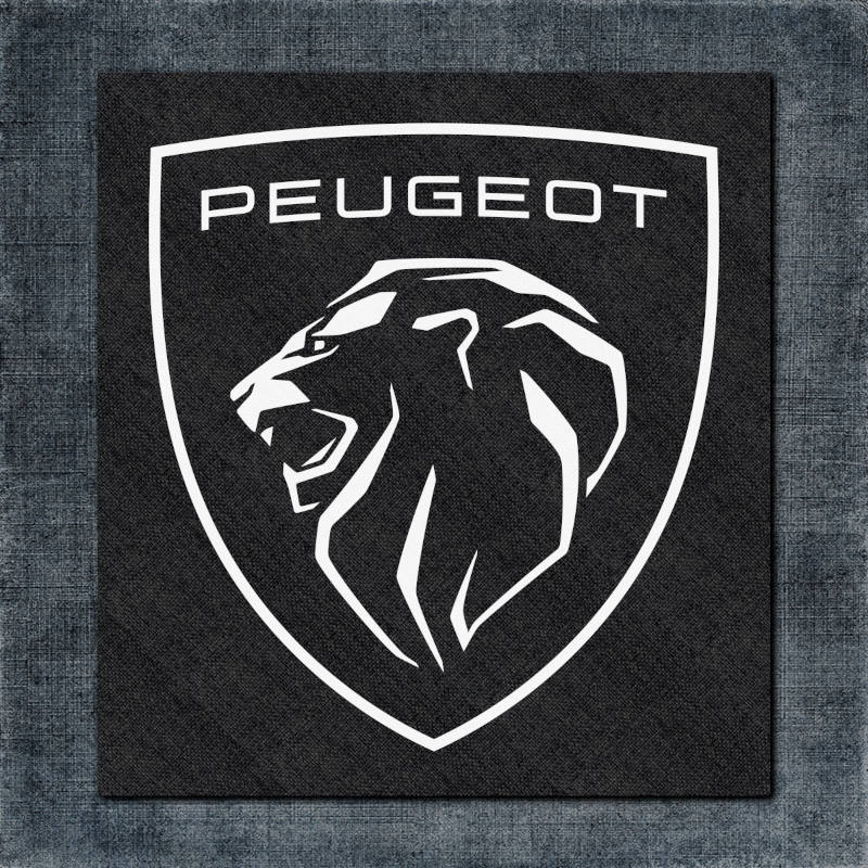 Peugeot Back Patch, Peugeot 2021 Logo Big Back Patch