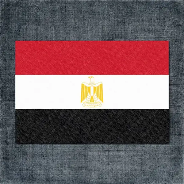 Egypt Flag Back Patch, Egypt National Flag Big Back Patch