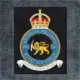 237 Squadron of The Royal Air Force Back Patch