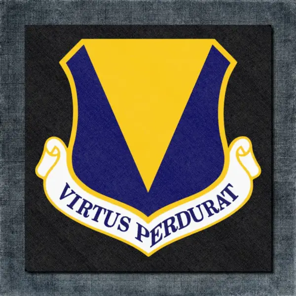 86th Airlift Wing Back Patch