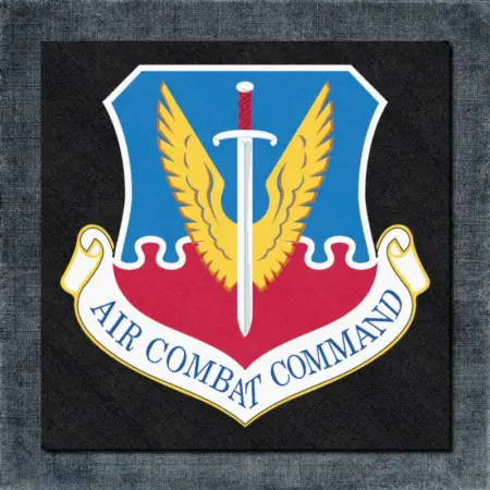 Air Combat Command Back Patch