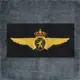 Air Component Belgian Air Force Back Patch