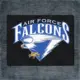 Air Force Falcons Back Patch