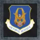 Air Force Reserve Back Patch