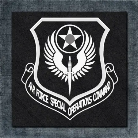 Air Force Special Coat of Arms Back Patch
