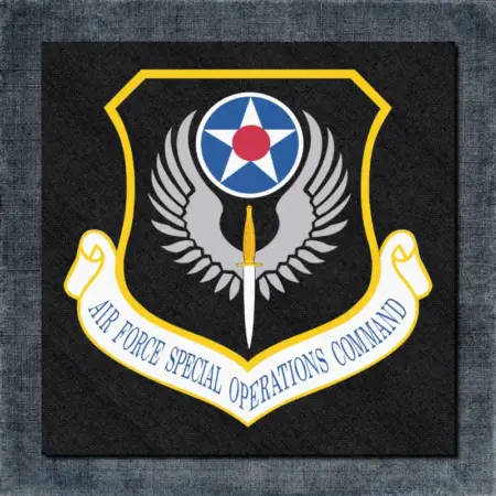 Air Force Special Operations Command Back Patch