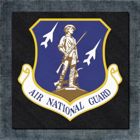 Air National Guard Back Patch