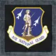 Air National Guard Back Patch