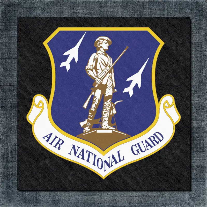 Air National Guard Back Patch