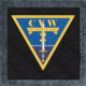 Carrier Air Wing Two Back Patch