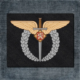Czechoslovak Air Force Back Patch