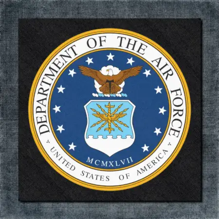 Department of The Air Force Back Patch