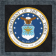 Department of The Air Force Back Patch