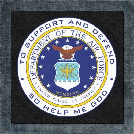Department of The Air Force United States Back Patch