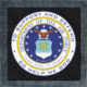 Department of The Air Force United States Back Patch