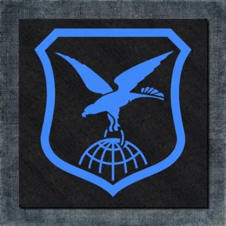 Dover Air Force Base Back Patch