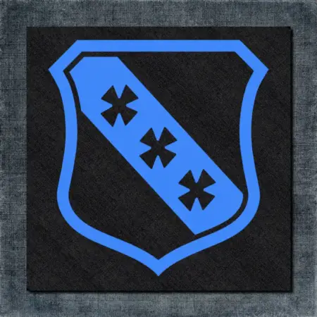 Dyess Air Force Base Back Patch