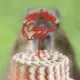 Happy Birthday Capy Cake Topper, Customizable Handmade 3d Printed Cake Topper