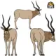 Addax SVG Digital Download, Addax Nasomaculatus (Antelopes Antilopinae) SVG-DXF-EPS-PS Vector Download Files